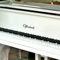piano 2011.01 as