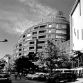 san stefano plaza 2020.05 as graphic bw