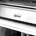 white.piano.2011.02_as_dream_bw.jpg