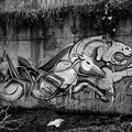 graffities 2021.838_as_bw.jpg