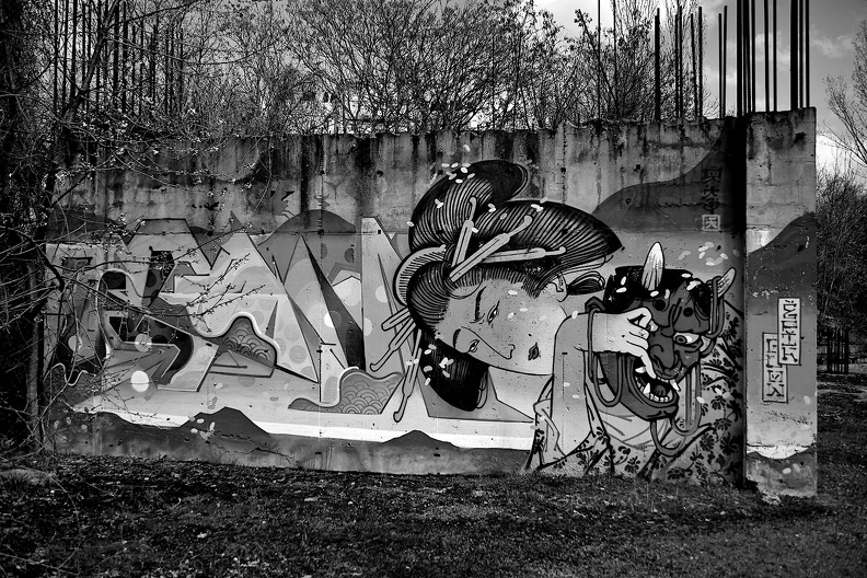 graffities 2021.835_as_bw.jpg