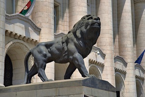 courthouse.lion.2021.01 as