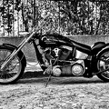 Harley Davidson 2015.01_rt_bw.jpg