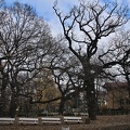 autumn oaks 2021.02_rt.jpg