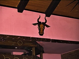 bull.head 2006.01