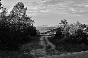 the.road 2006.002 rt bw