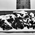 soviet army monument baraleph winter 2012.01_rt_bw.jpg