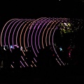 lights festival 2022.18_rt.jpg