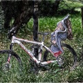 bicycle.2022.01_rt_sketch.jpg