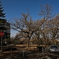 slaweykow oaks 2022.01_rt.jpg