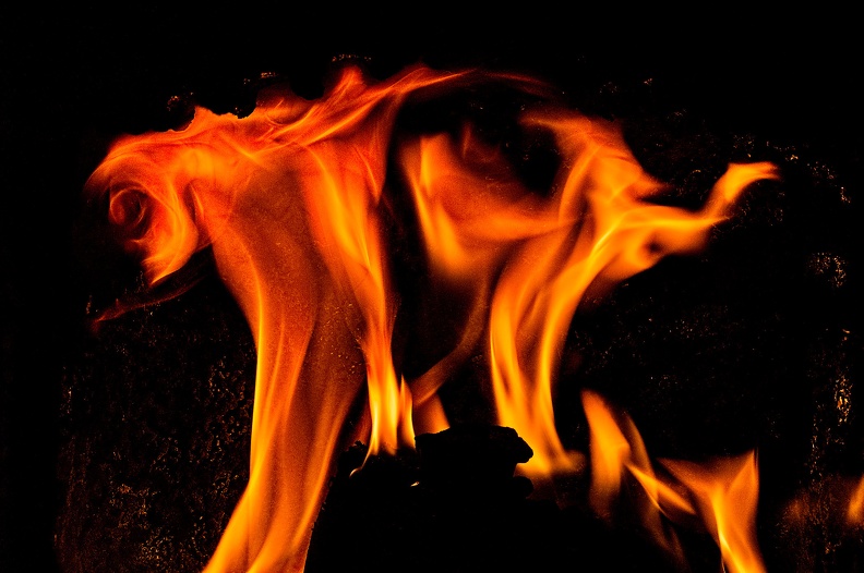 flames.2009.041_rt.jpg