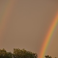 rainbow 2020.02_rt.jpg