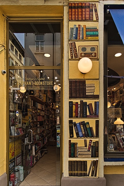 elephant bookstore 2023.02_rt.jpg