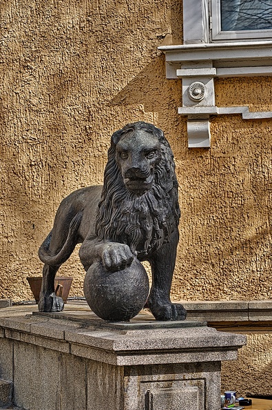 lion 2023.01_rt.jpg