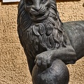 lion 2023.02_rt.jpg
