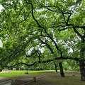 slaweykow oaks 2023.02 rt