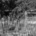 city garden fountain 2023.06 dt bw
