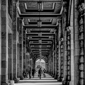 colonnade.2018.01 dt bw