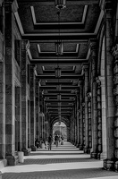 colonnade.2018.02 dt bw