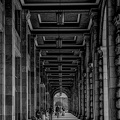 colonnade.2018.02 dt bw