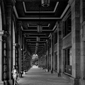 colonnade.2023.04 dt bw (2)