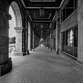 colonnade.2023.05 dt bw (2)