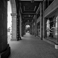 colonnade.2023.06 dt bw (2)