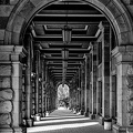colonnade.2024.06 dt bw
