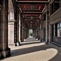 colonnade.2024.13 dt (2)