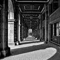 colonnade.2024.13 dt bw (2)