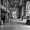 colonnade.2024.14 dt bw