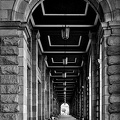 colonnade.2024.17 dt bw