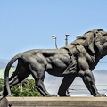 courthouse.lion.2024.01_dt.jpg