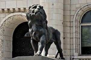 courthouse.lion.2024.04 dt