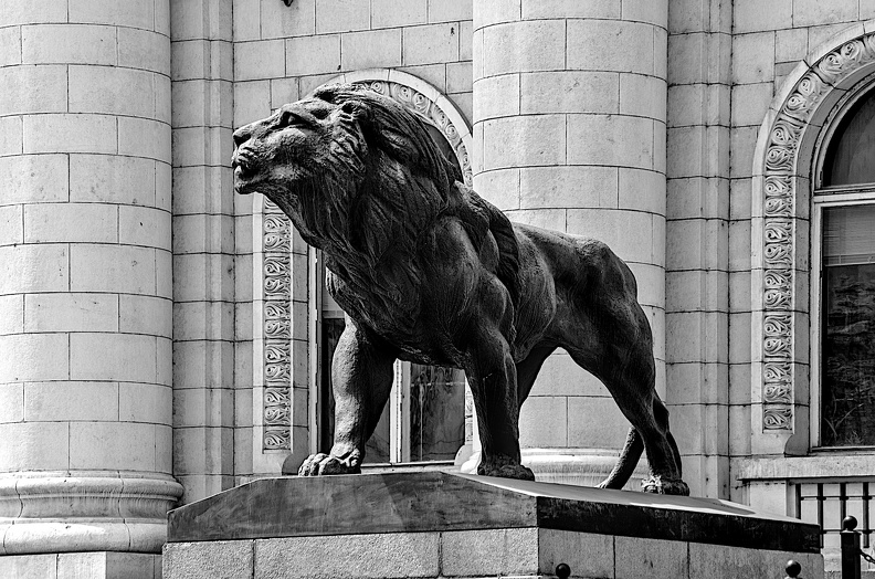courthouse.lion.2024.05_dt_bw.jpg