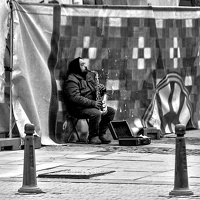 street musician 2024.01 dt bw