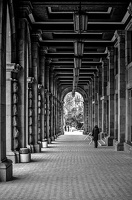 colonnade.2024.02 dt bw