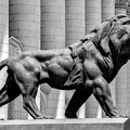 courthouse.lion.2024.02 dt bw