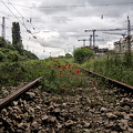 railroad remains 2024.01 dt