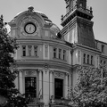 agriculture 2024.02 dt bw