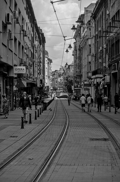 graf ignatiew 2024.16_dt_bw.jpg