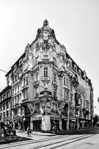 fahri house 2024.01_dt_bw_film.jpg