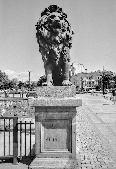 lions bridge.2024.03.12_dt_bw_film.jpg