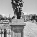lions bridge.2024.03.12 dt bw film