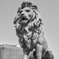 lions bridge.2024.03.13 dt bw film