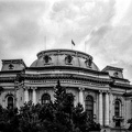 sofia university 2024.03.28 dt bw film