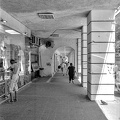 colonnade 2024.01.30 dt film 16b