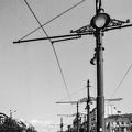 lion bridge 2024.03.16 dt film 16b (2)