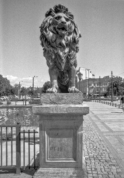 lion bridge 2024.03.12_dt_film_16b.jpg