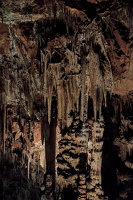 saeva dupka cave 2024.08 dt